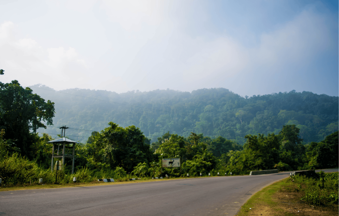 Scenic Drive